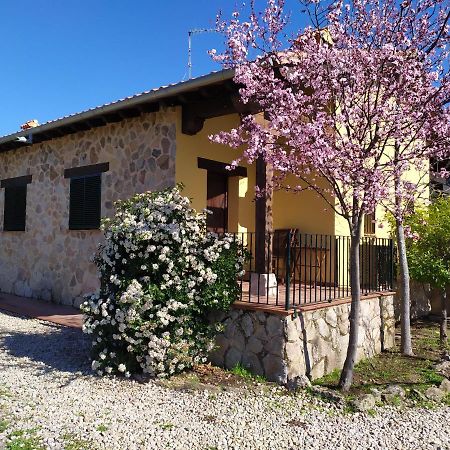 Pago De Yuste - Casa Rural Apartamentos Куакос-де-Юсте Экстерьер фото