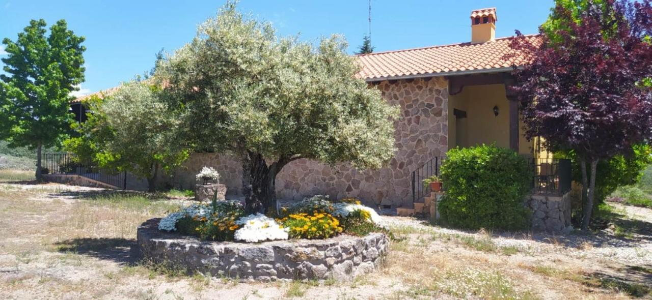 Pago De Yuste - Casa Rural Apartamentos Куакос-де-Юсте Экстерьер фото