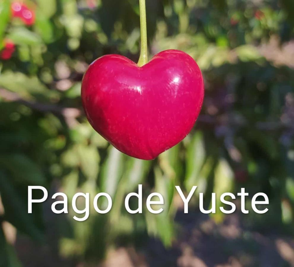 Pago De Yuste - Casa Rural Apartamentos Куакос-де-Юсте Экстерьер фото