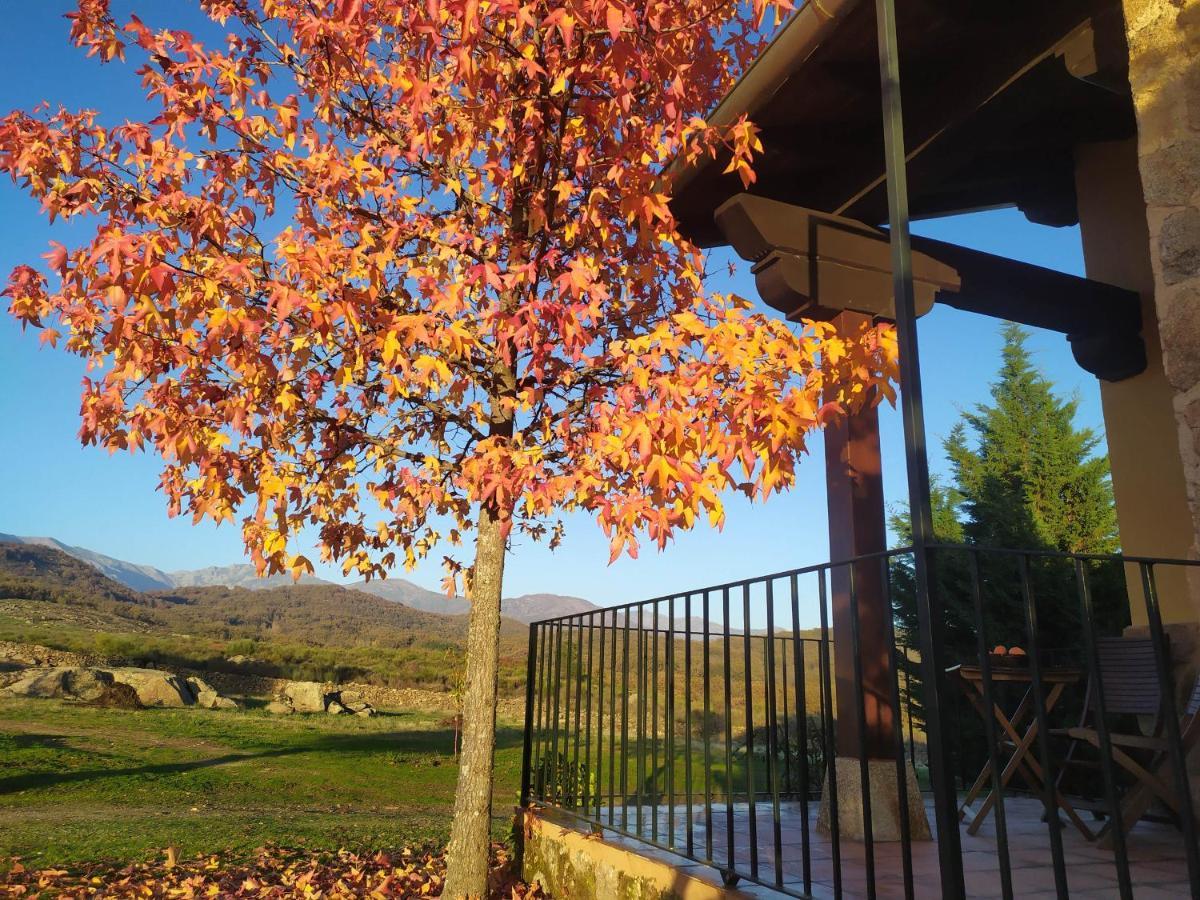 Pago De Yuste - Casa Rural Apartamentos Куакос-де-Юсте Экстерьер фото