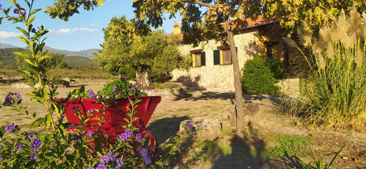 Pago De Yuste - Casa Rural Apartamentos Куакос-де-Юсте Экстерьер фото