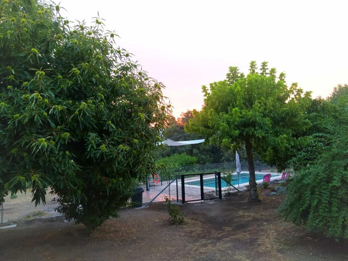 Pago De Yuste - Casa Rural Apartamentos Куакос-де-Юсте Экстерьер фото